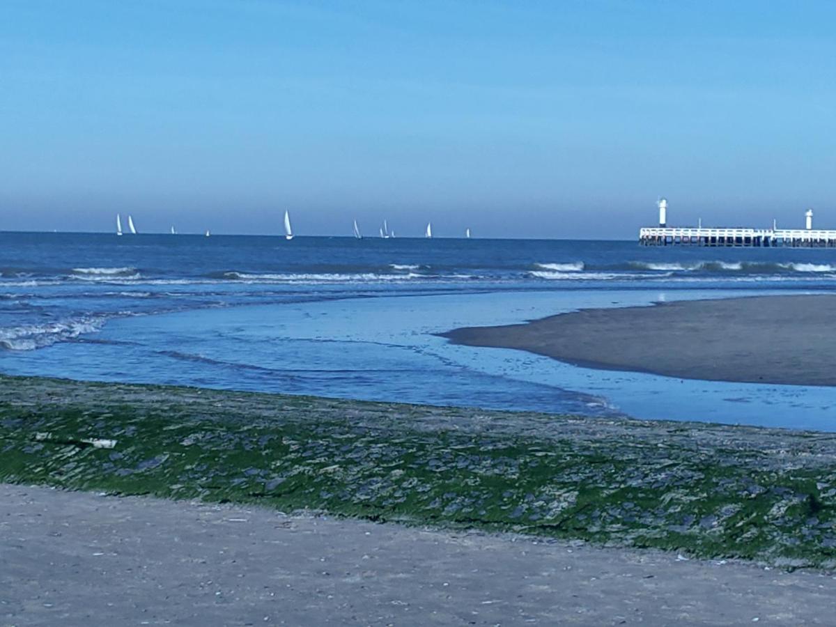 Studio Havenzicht Nieuwpoort Buitenkant foto